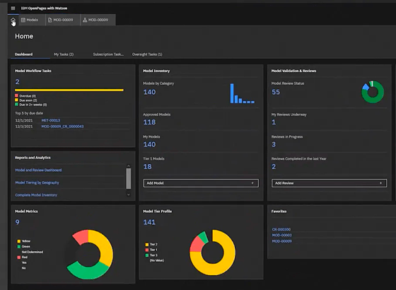 Model risk governance
